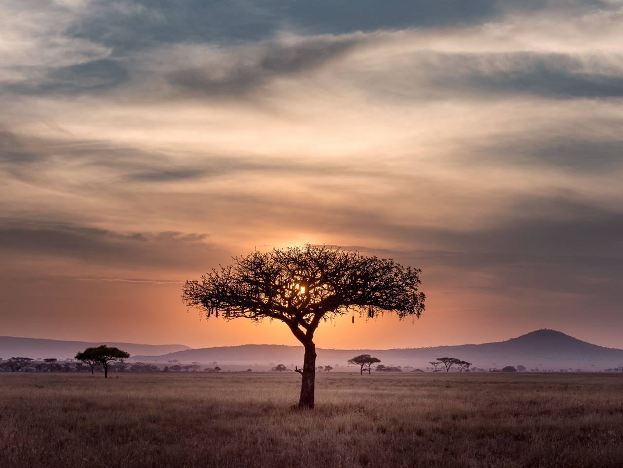 Image of nature in Africa.